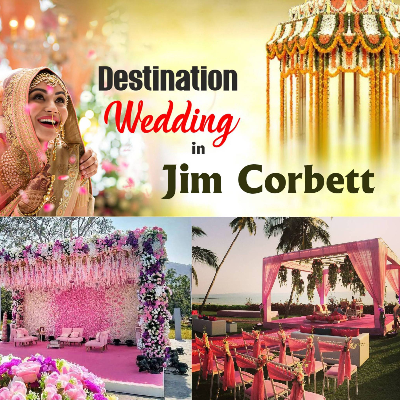 Destination Wedding in Jim Corbett