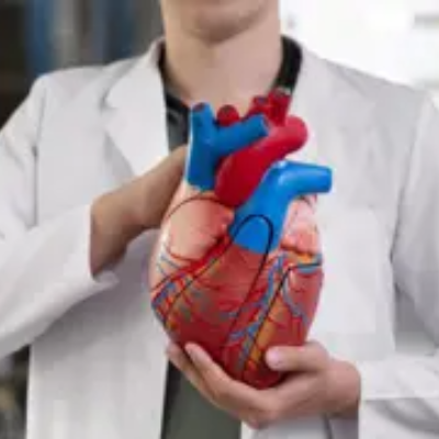 Diploma Cardiology Courses