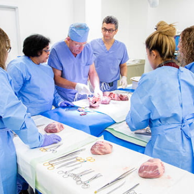 Diploma in Cardiology