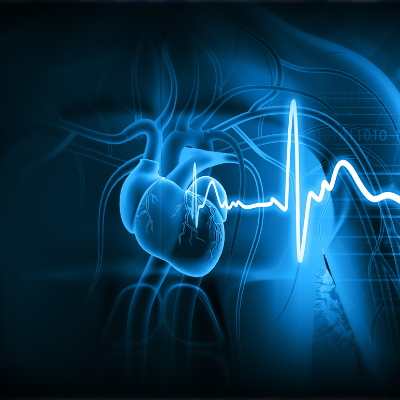 Echo Certificate Course